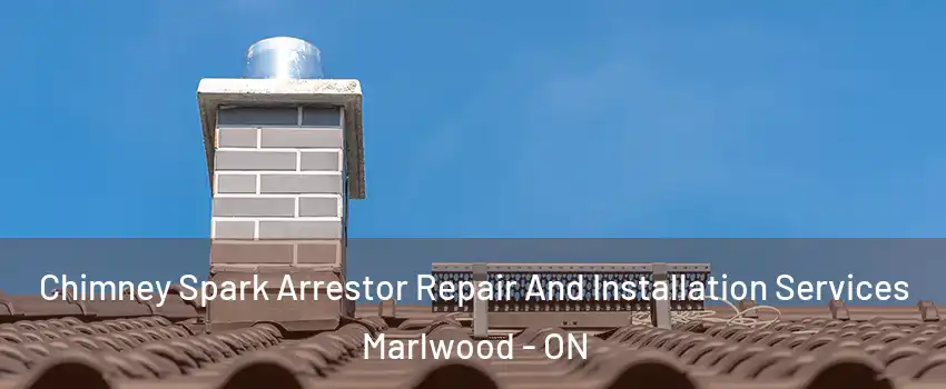  Chimney Spark Arrestor Repair And Installation Services Marlwood - ON