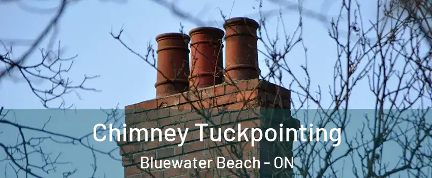  Chimney Tuckpointing Bluewater Beach - ON