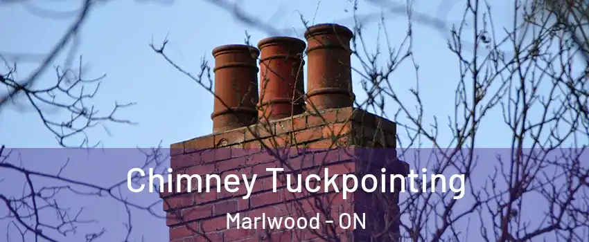  Chimney Tuckpointing Marlwood - ON
