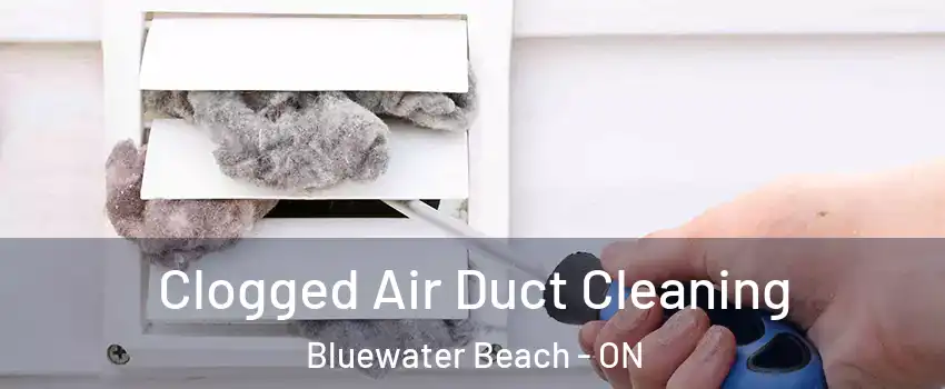  Clogged Air Duct Cleaning Bluewater Beach - ON
