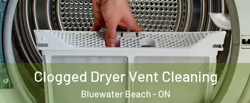  Clogged Dryer Vent Cleaning Bluewater Beach - ON