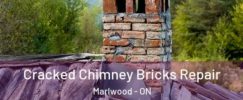  Cracked Chimney Bricks Repair Marlwood - ON