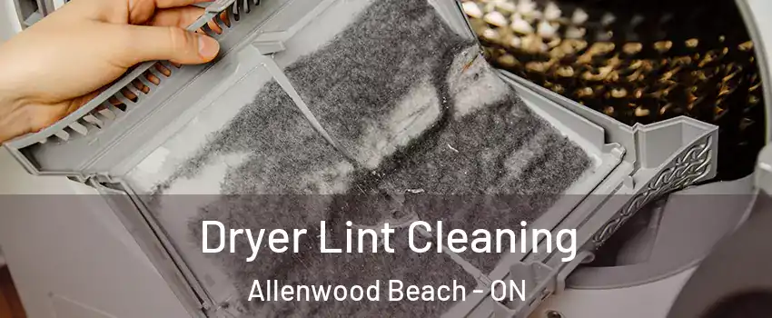  Dryer Lint Cleaning Allenwood Beach - ON