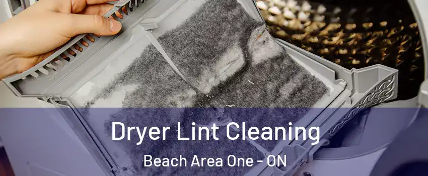  Dryer Lint Cleaning Beach Area One - ON