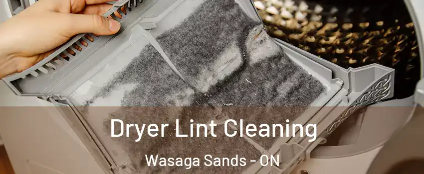  Dryer Lint Cleaning Wasaga Sands - ON