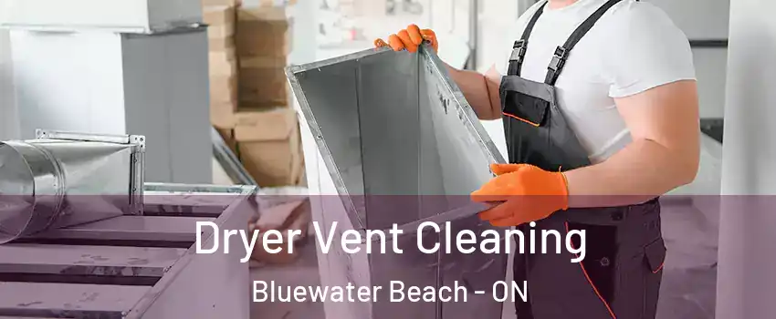  Dryer Vent Cleaning Bluewater Beach - ON