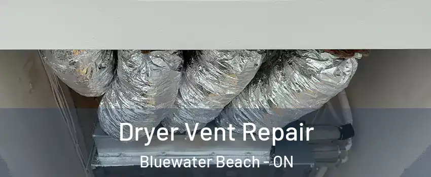  Dryer Vent Repair Bluewater Beach - ON