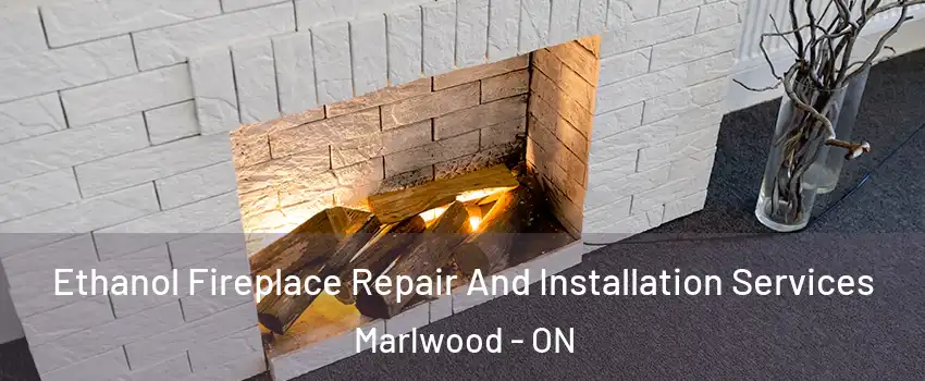  Ethanol Fireplace Repair And Installation Services Marlwood - ON