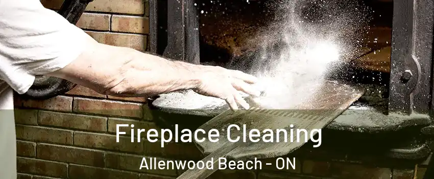  Fireplace Cleaning Allenwood Beach - ON