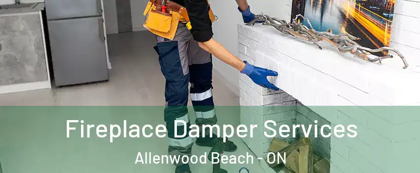  Fireplace Damper Services Allenwood Beach - ON