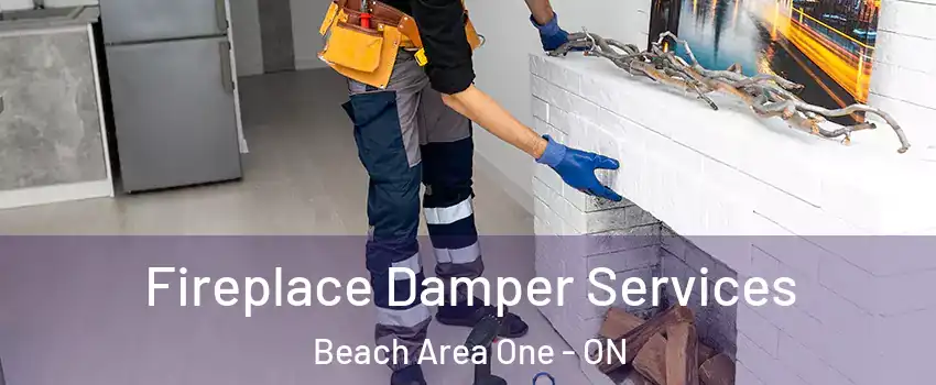  Fireplace Damper Services Beach Area One - ON