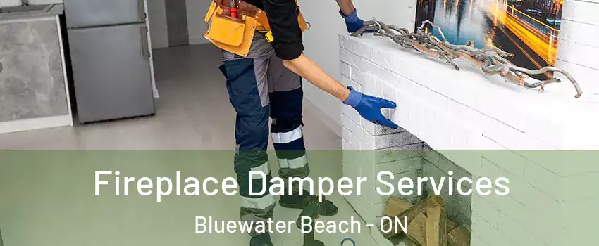  Fireplace Damper Services Bluewater Beach - ON