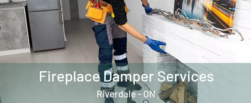  Fireplace Damper Services Riverdale - ON