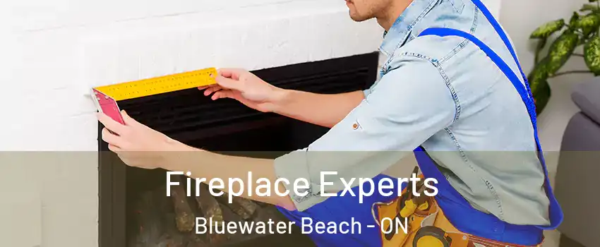  Fireplace Experts Bluewater Beach - ON
