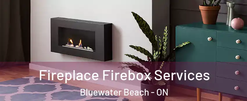  Fireplace Firebox Services Bluewater Beach - ON