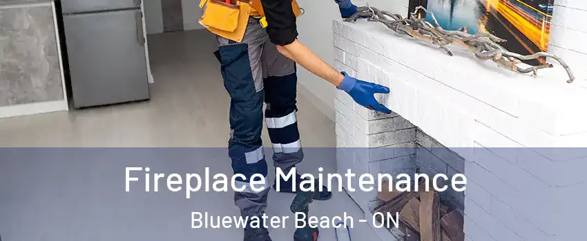  Fireplace Maintenance Bluewater Beach - ON
