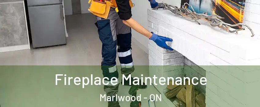  Fireplace Maintenance Marlwood - ON