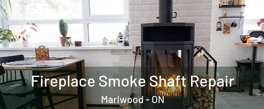 Fireplace Smoke Shaft Repair Marlwood - ON