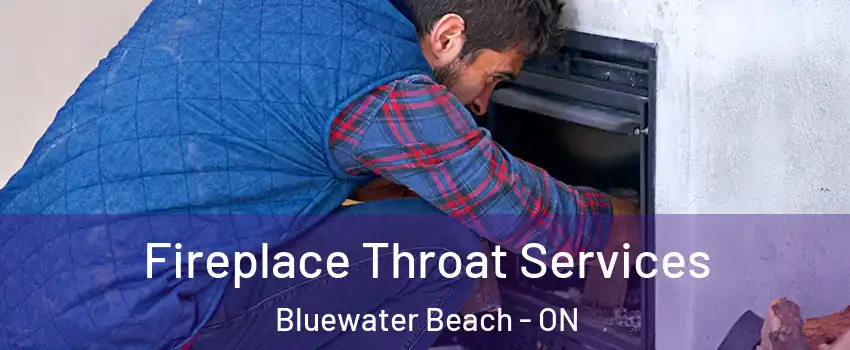  Fireplace Throat Services Bluewater Beach - ON