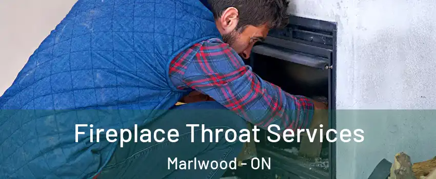  Fireplace Throat Services Marlwood - ON