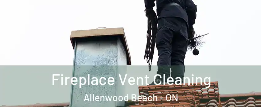  Fireplace Vent Cleaning Allenwood Beach - ON