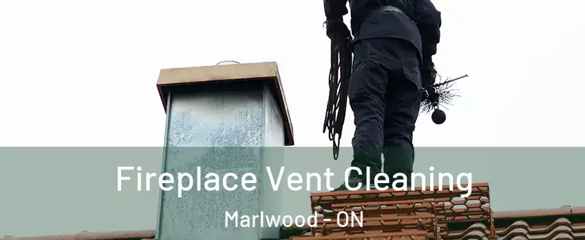  Fireplace Vent Cleaning Marlwood - ON