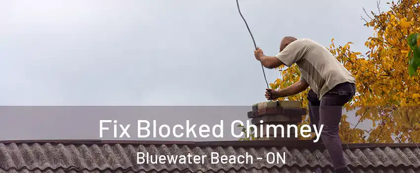  Fix Blocked Chimney Bluewater Beach - ON