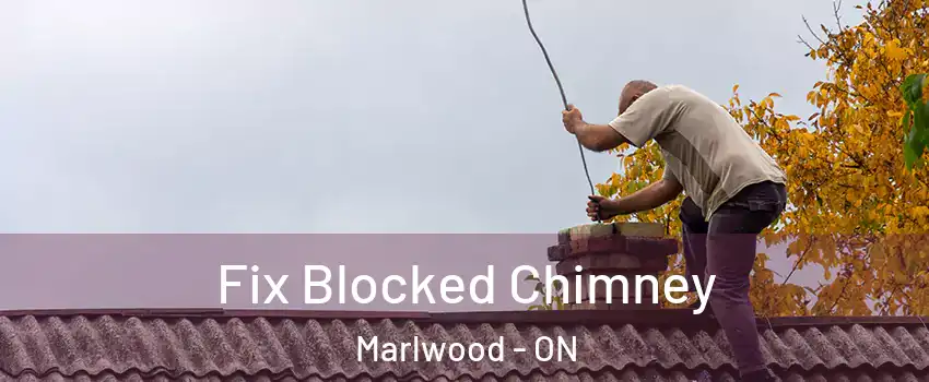  Fix Blocked Chimney Marlwood - ON
