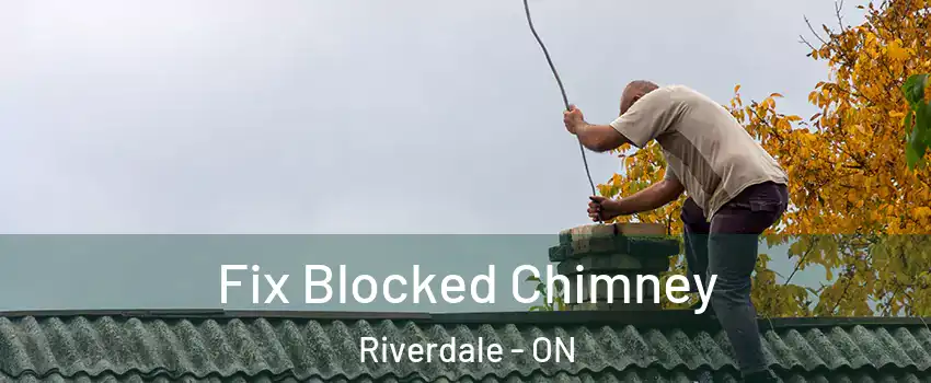  Fix Blocked Chimney Riverdale - ON