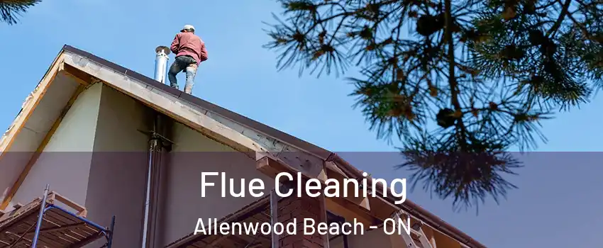  Flue Cleaning Allenwood Beach - ON