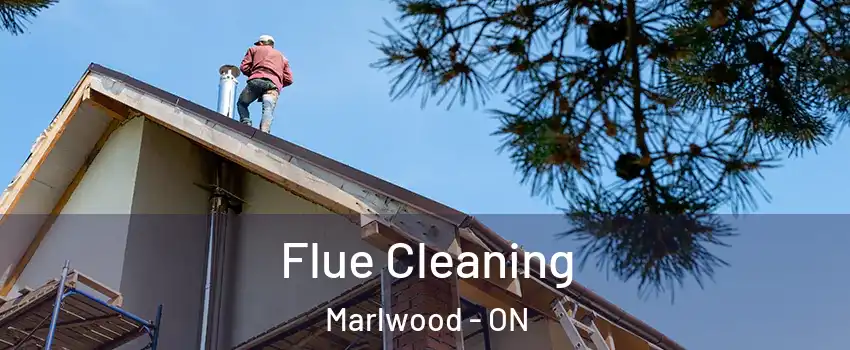  Flue Cleaning Marlwood - ON