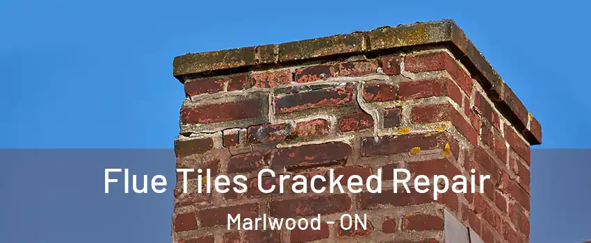  Flue Tiles Cracked Repair Marlwood - ON