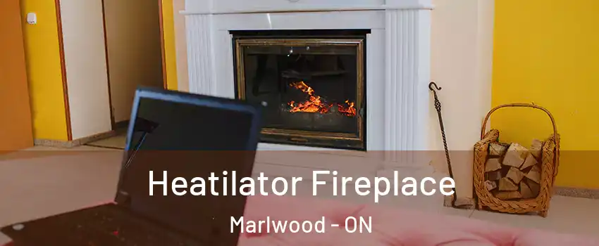  Heatilator Fireplace Marlwood - ON