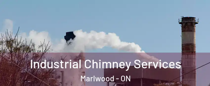  Industrial Chimney Services Marlwood - ON