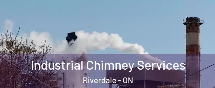  Industrial Chimney Services Riverdale - ON