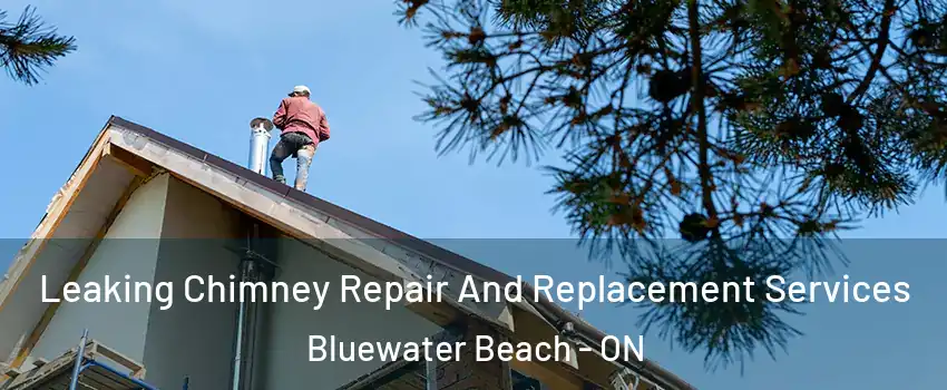  Leaking Chimney Repair And Replacement Services Bluewater Beach - ON