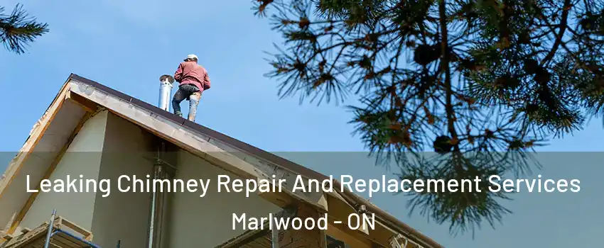 Leaking Chimney Repair And Replacement Services Marlwood - ON