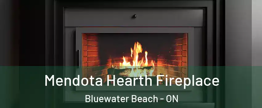  Mendota Hearth Fireplace Bluewater Beach - ON