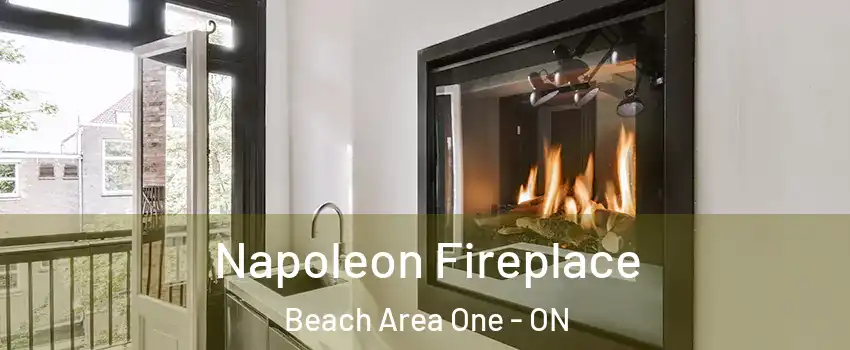  Napoleon Fireplace Beach Area One - ON
