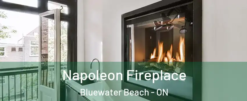  Napoleon Fireplace Bluewater Beach - ON
