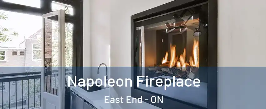  Napoleon Fireplace East End - ON