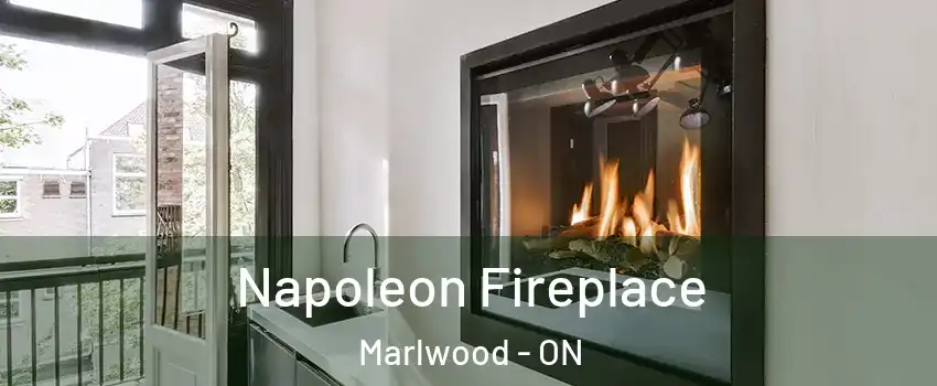  Napoleon Fireplace Marlwood - ON