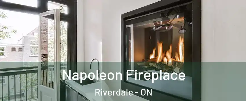  Napoleon Fireplace Riverdale - ON