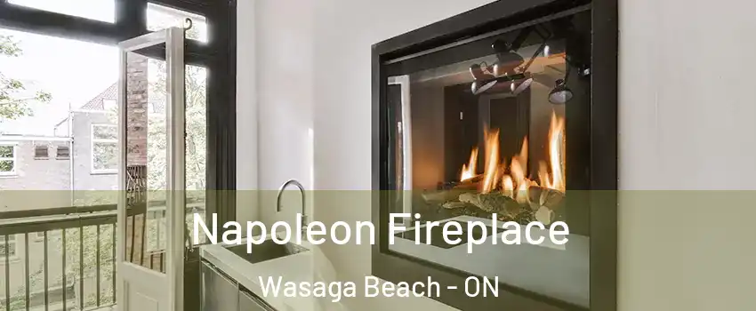  Napoleon Fireplace Wasaga Beach - ON