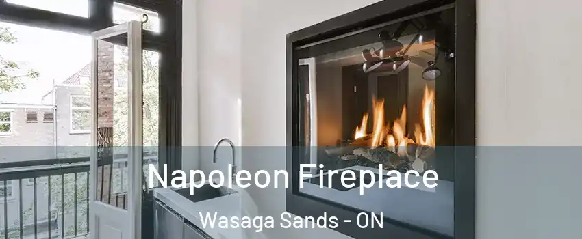  Napoleon Fireplace Wasaga Sands - ON
