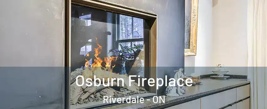  Osburn Fireplace Riverdale - ON