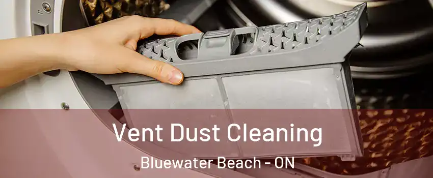  Vent Dust Cleaning Bluewater Beach - ON