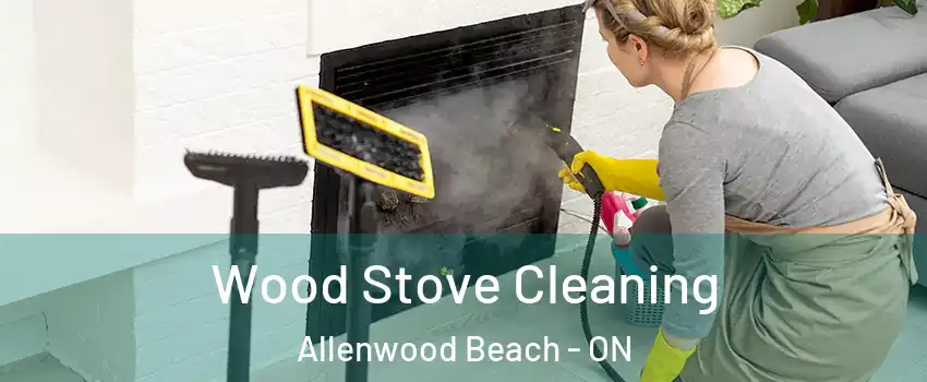  Wood Stove Cleaning Allenwood Beach - ON