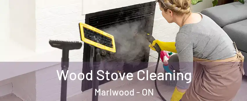  Wood Stove Cleaning Marlwood - ON